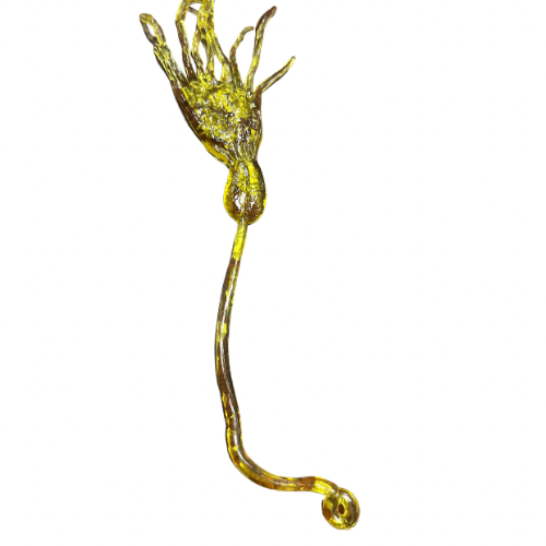 Pegaloco de 4 colores x20 unid. (74F-11)