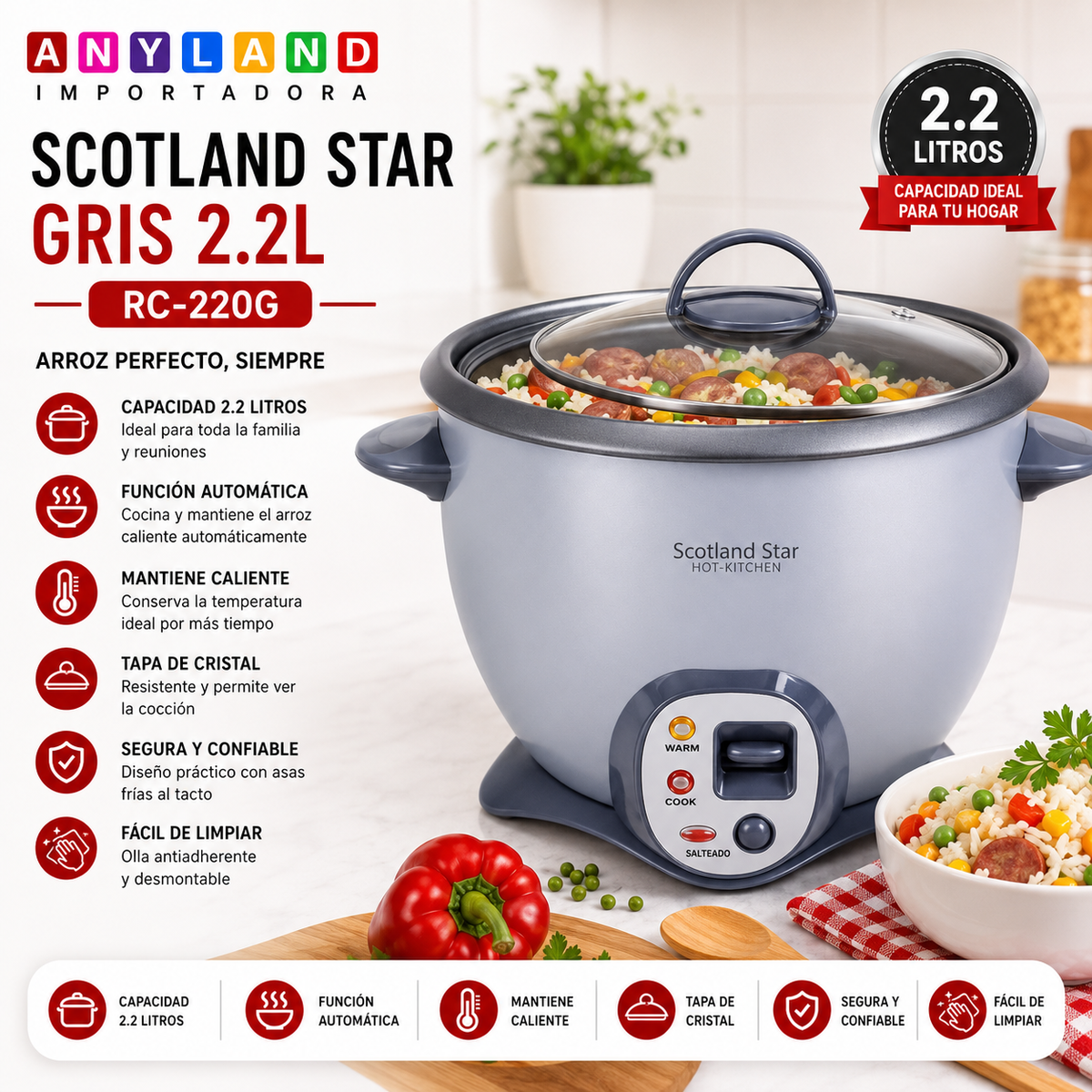 Olla arrocera Scotland Star Gris 2.2L (RC-220G)