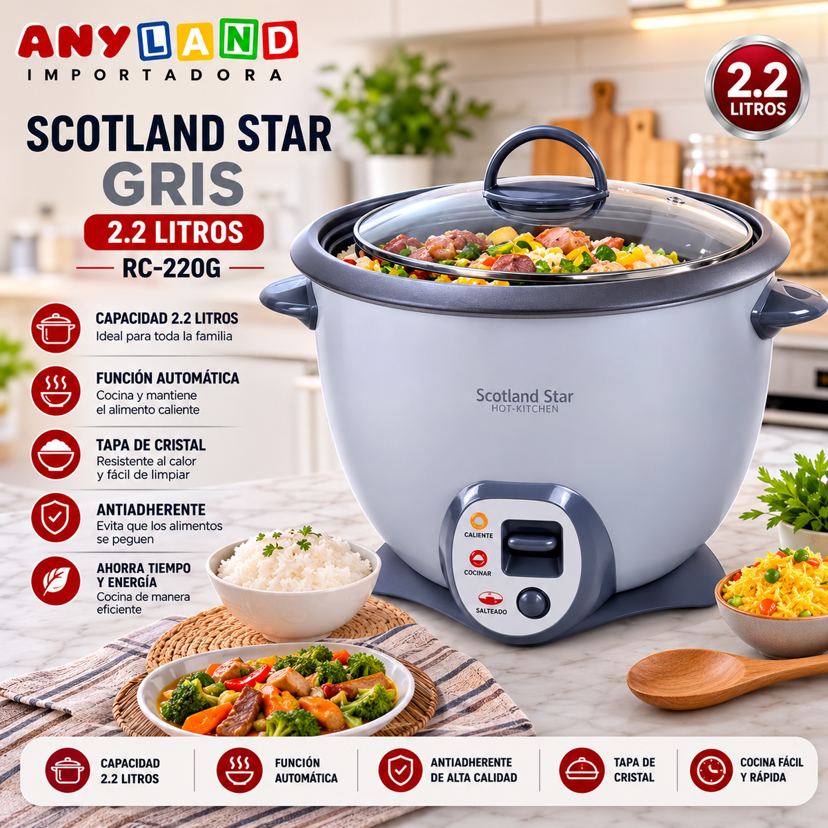 Olla arrocera Scotland Star Gris 2.2L (RC-220G)