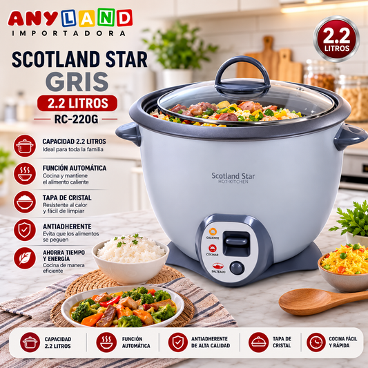 Olla arrocera Scotland Star Gris 2.2L (RC-220G)